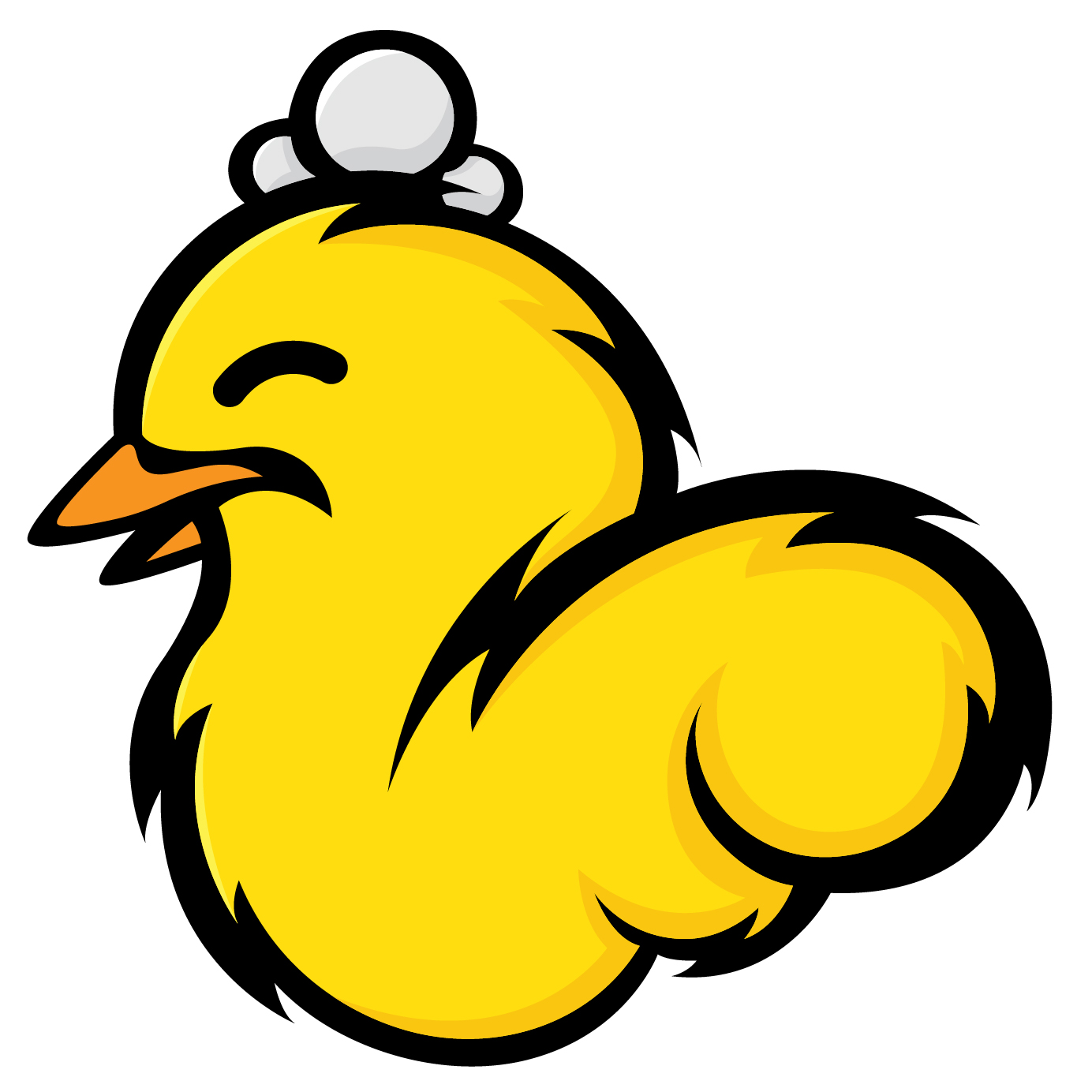 The Chicks Team Logo