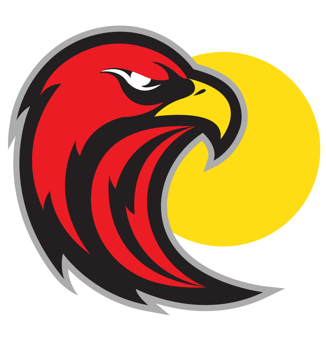 The Hawks Team Logo