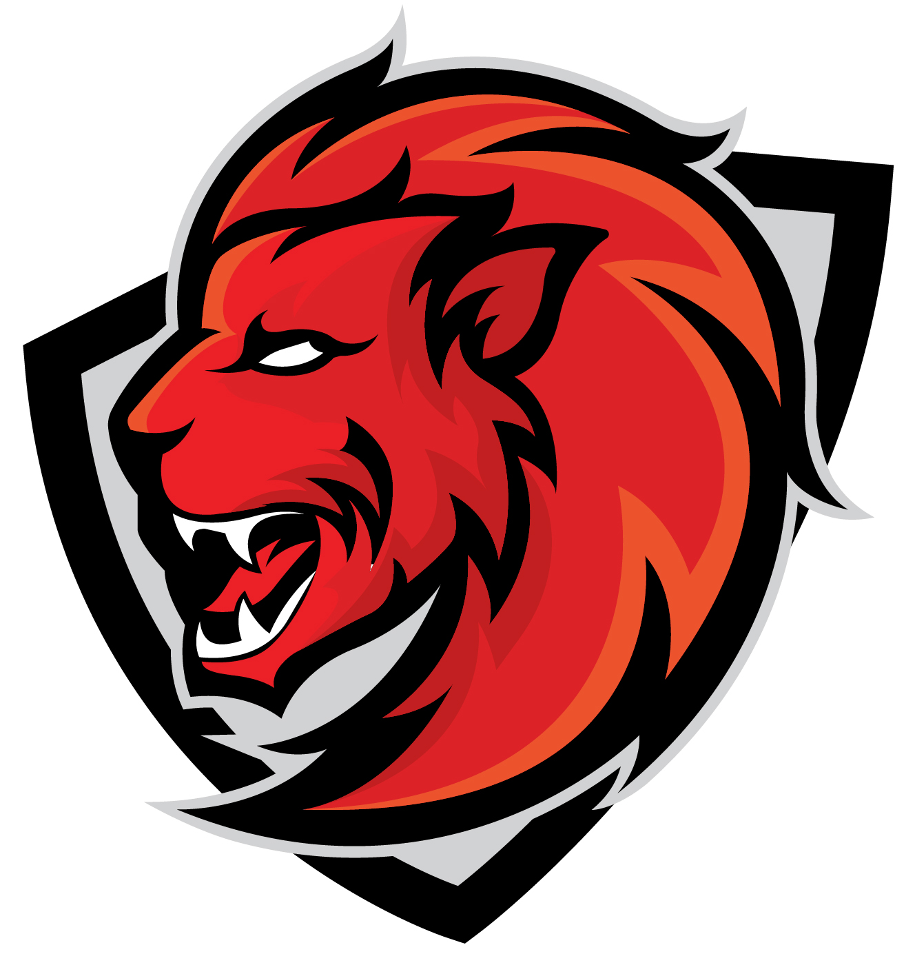 The Lions Team Logo