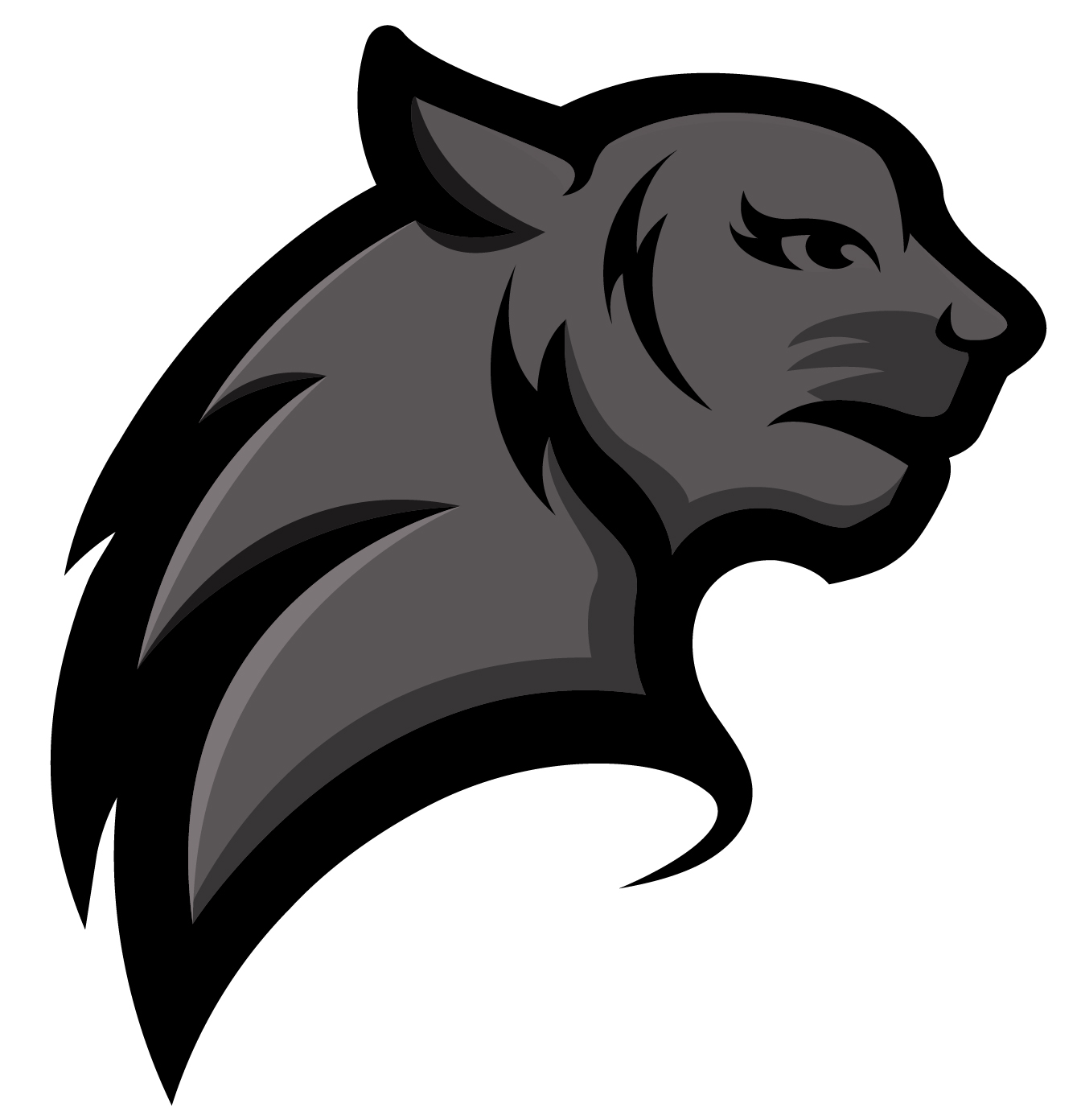 The Panthers Team Logo