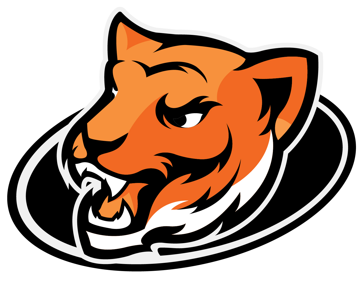 The Tigers Team Logo